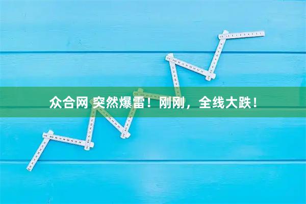 众合网 突然爆雷!刚刚,全线大跌!